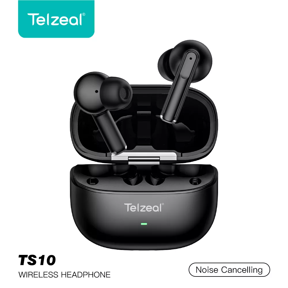 TS10
